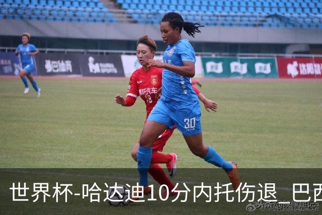 世界杯-哈达迪10分内托伤退 巴西大胜伊朗41分