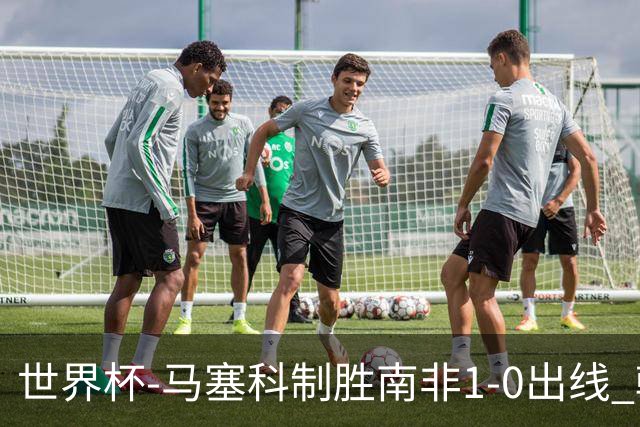 世界杯-马塞科制胜南非1-0出线 韩国积3分获小组第三待定